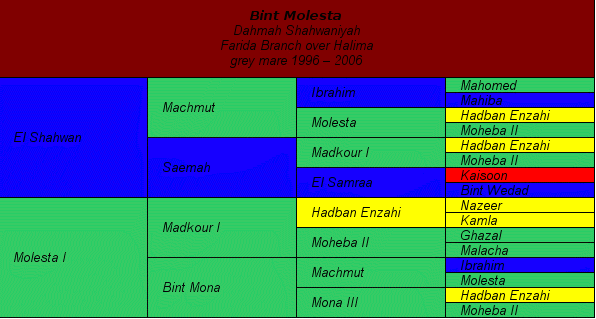 Pedigree: Bint Molesta