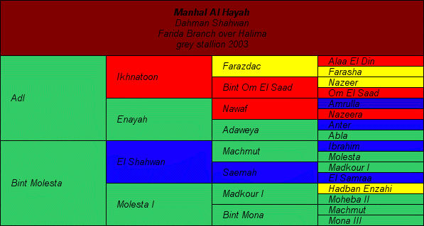 Pedigree: Manhal Al Hayah