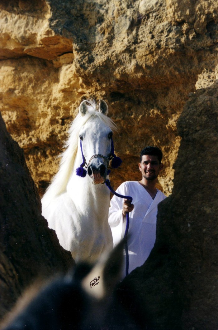 Photo: Mahfouz (3)